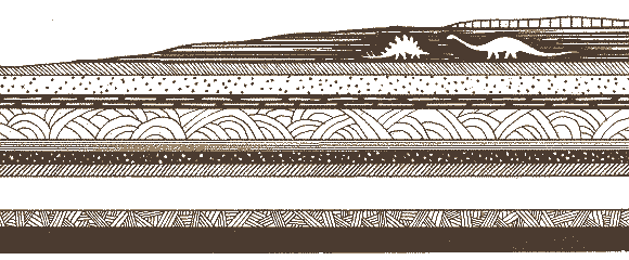 plug hat cross-section2