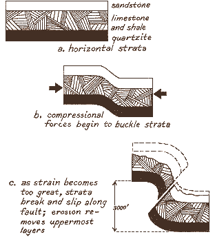 strata