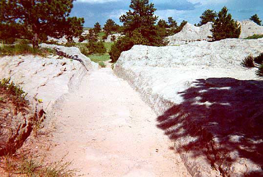 Oregon Trail ruts