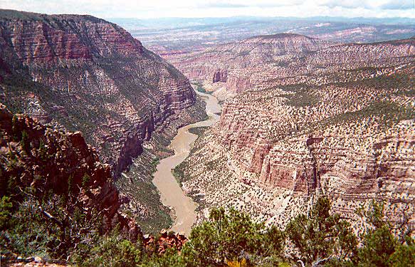 Whirlpool Canyon