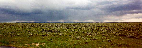 Approaching Storm