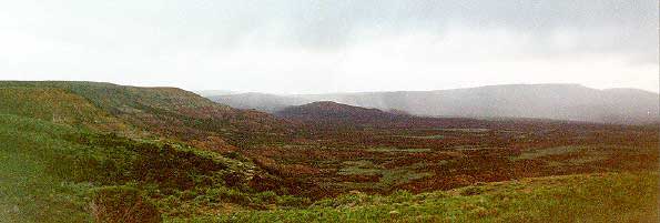 Rain on the sage