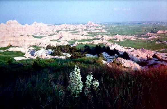 View from Cliff Shelf