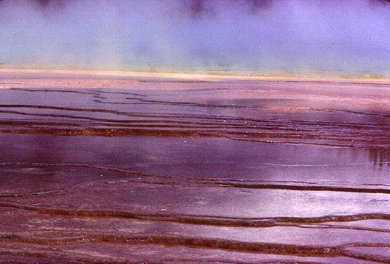 Grand Prismatic Spring