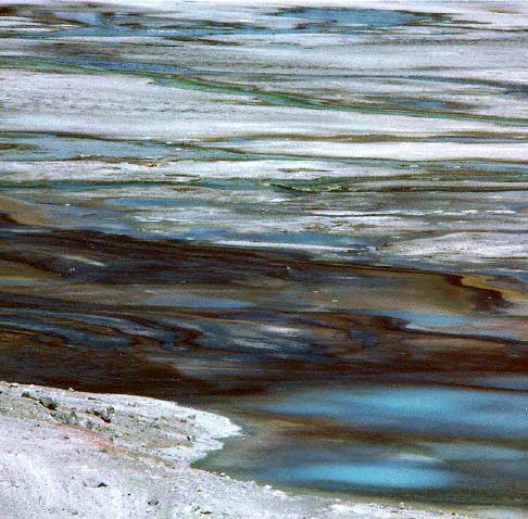 Bacteria Ribbons at Norris Basin