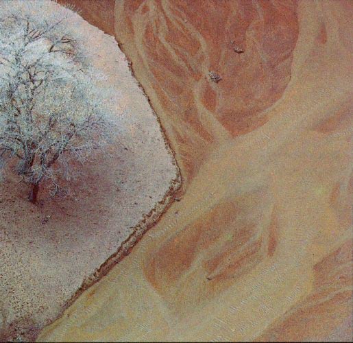 Floor of Canyon de Chelly