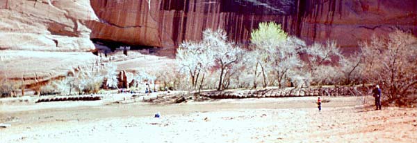 White House Ruins Image