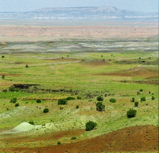 View down Beautiful Valley