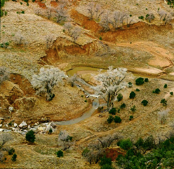 Floor of Canyon de Chelly